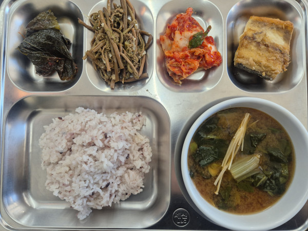 08ce15ed2626e1a41ef4c05e24b71622_1762956