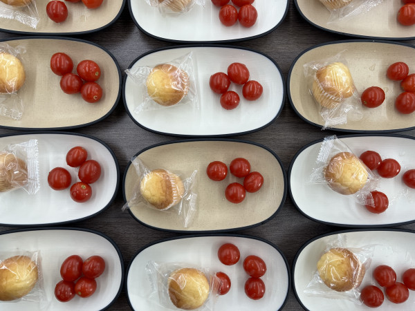 24f07295f6fec581ddc03a8f4161faff_1762294