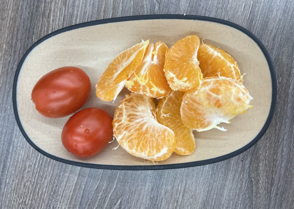 9607c2139c5545fee1542253ad9ebc22_1769593