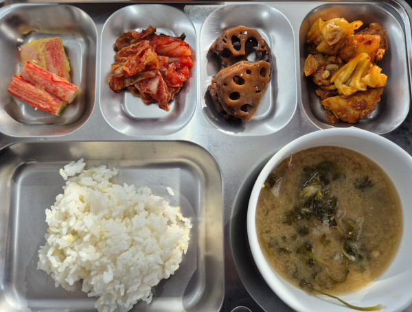 637ecec65a7149ee0bc6745e54382489_1771775